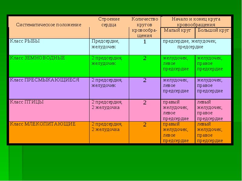 Проекты 11 класса по биологии