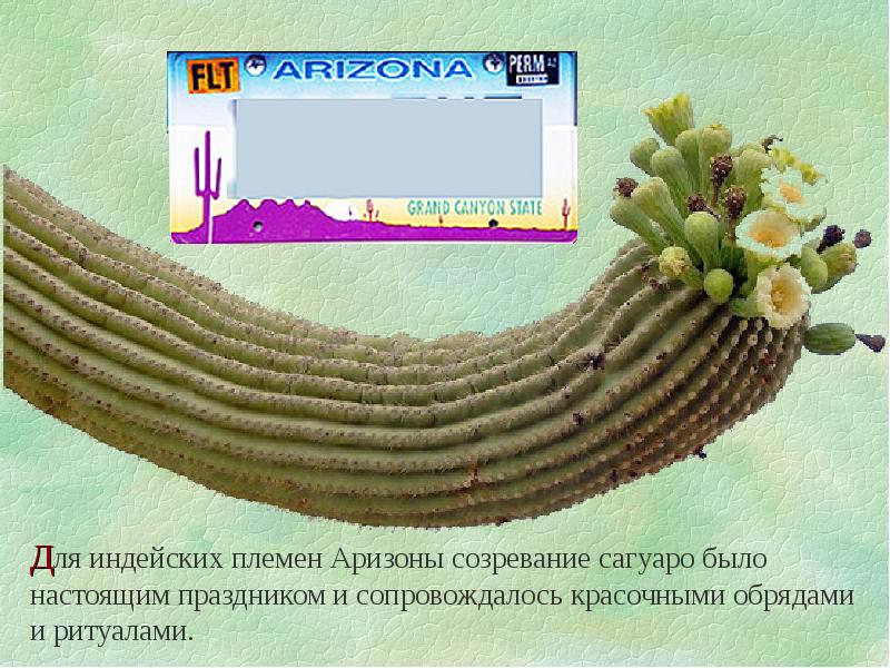 Геометрические неожиданности проект