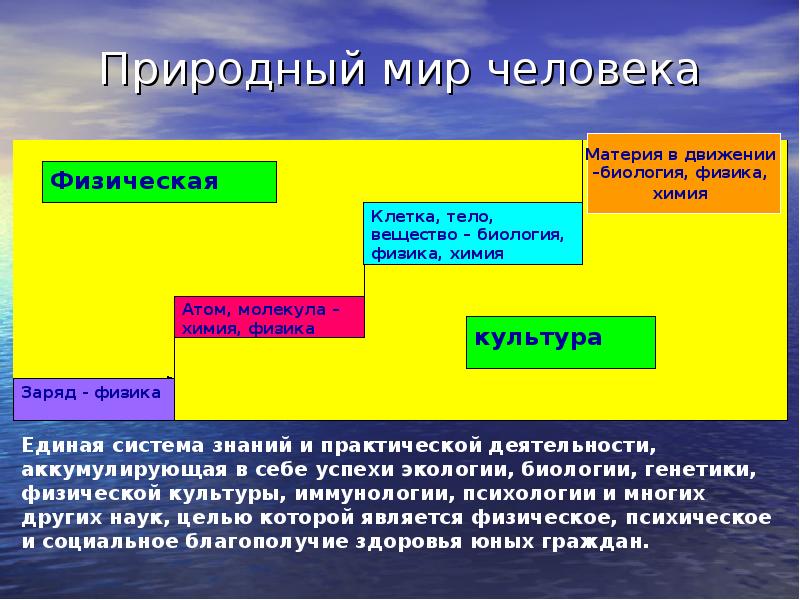 Системы здоровья человека. Система движения биология. Материя человека. Биологическая физика цель. Химическое движение биология.