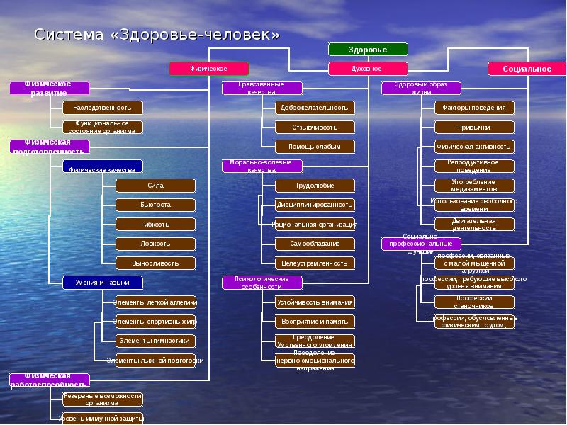 Системы здоровья человека. Система здоровья человека. Здоровье как система. 12 Систем организма человека. Здоровье как система подсистемы здоровья.