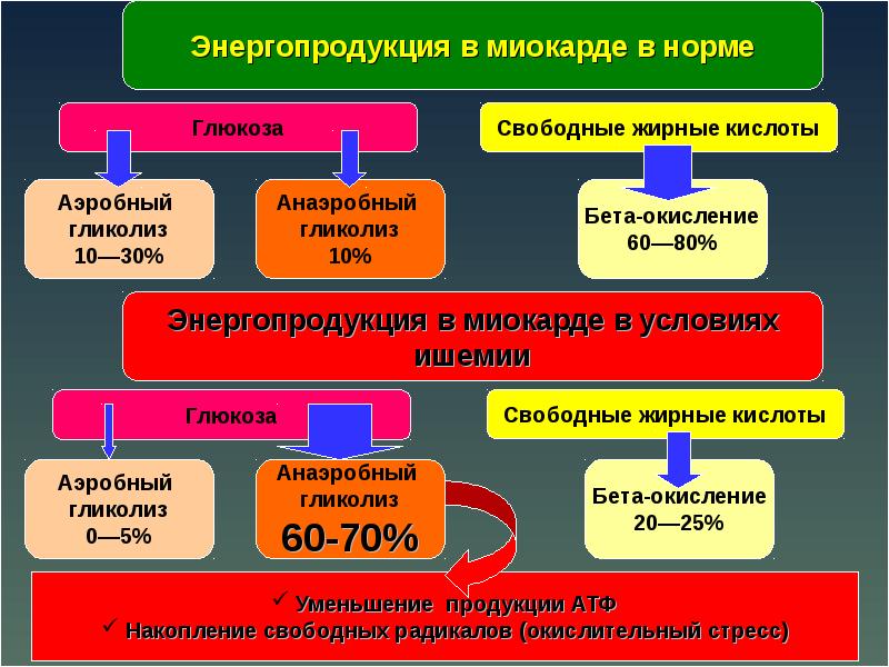 Обменные процессы в миокарде. Особенности метаболизма миокарда. Метаболические особенности миокарда. Особенности обмена веществ в миокарде. Метаболизм миокарда биохимия.