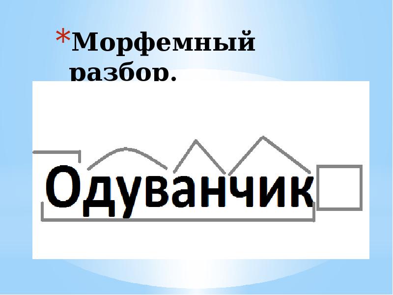 Одуванчик словарное слово в картинках