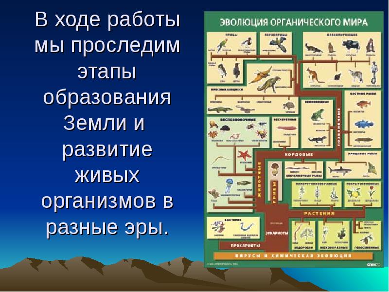 Эволюция живого. Этапы эволюции органического мира. Эволюция органического мира вывод. Примеры эволюции органического мира. Эволюция органического мира плакат.