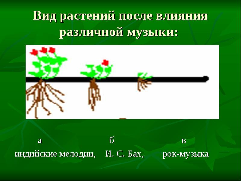 Влияние музыки на развитие растений и животных проект