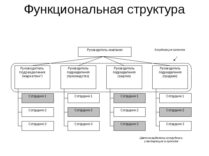 Организационные структуры управления проектами функциональная