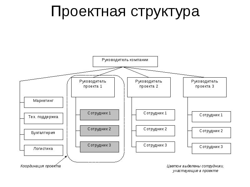 Организационные структуры управления проектами реферат