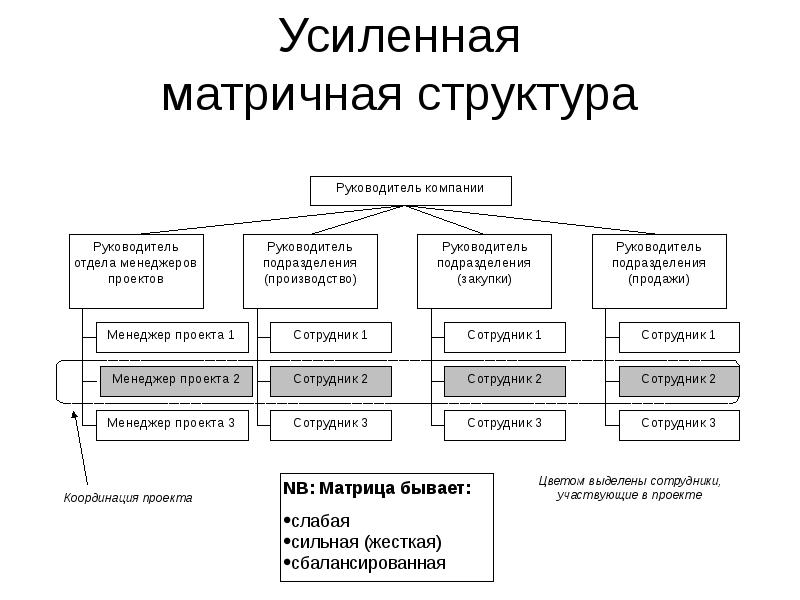 Менеджер проекта и руководитель проекта