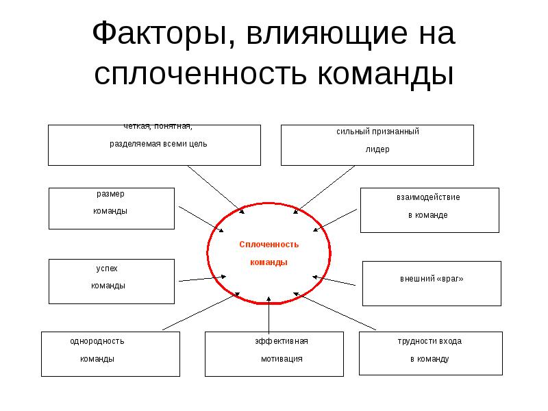 Факторы определяющие принципы формирования команды проекта