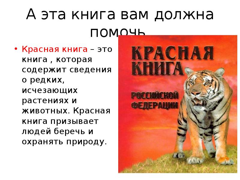 Животные из красной книги рассказ. Красная книга-это книга которая содержит сведения о редких. Красная книга призывает. Рассказ из красной книги России. Призыв красной книги.