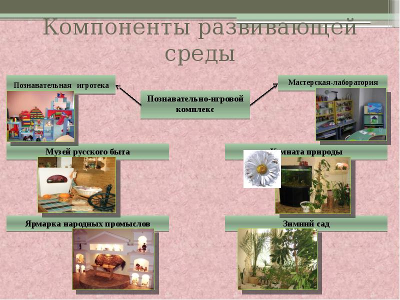 Предметно развивающая среда компоненты развивающей среды. Компоненты развивающей среды в ДОУ. Компоненты развивающей экологической среды. Основные компоненты развивающей среды в ДОУ. Какой не является компонентом развивающей среды:.