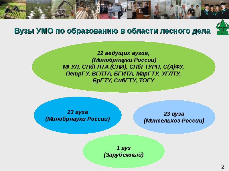 Учебно методического объединения по образованию. Просто УМО.