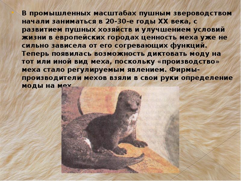 Сообщение на тему звероводство. Звероводство презентация. Пушные звери – объекты промысла и звероводства..