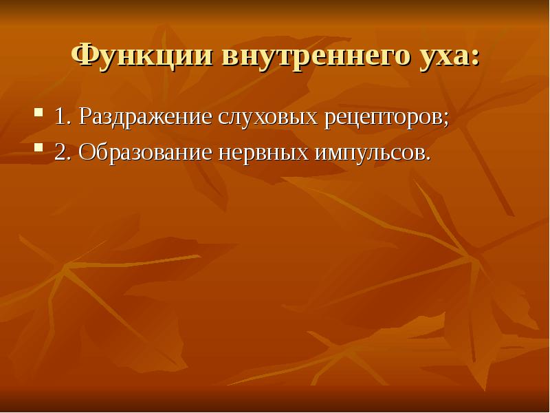 Возрастные особенности слуховой сенсорной системы. Проводящих путей слухового анализатора. Методы исследования слухового анализатора физиология. Центры слухового анализатора в коре больших полушарий. Слуховое восприятие анализатор.
