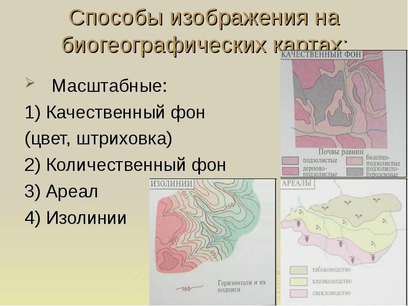 Изолинии на карте применяются для изображения