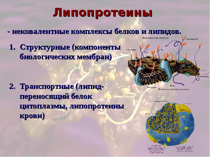 Сложные белки презентация