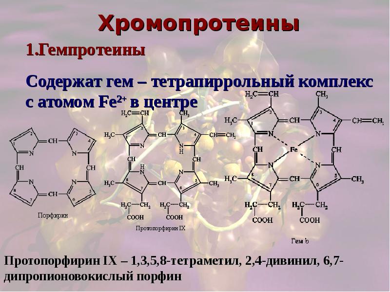 Сложные белки презентация