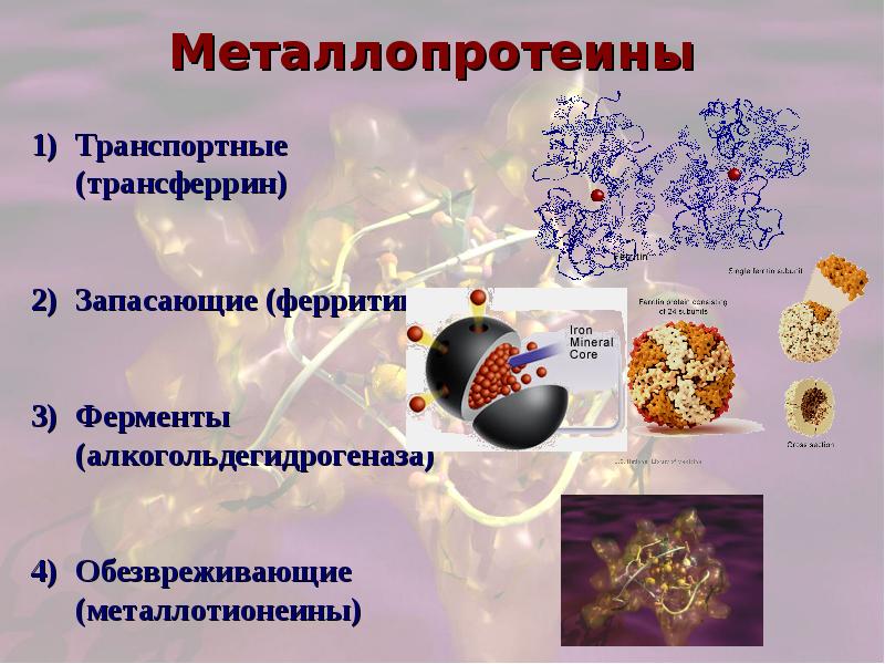 Сложные белки презентация