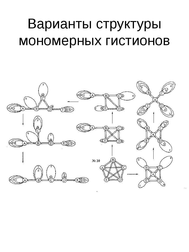 Варианты структура. Структура гистиона. Структурный элемент гистиона. Строение гистиона схема. Гистион в биологии это.