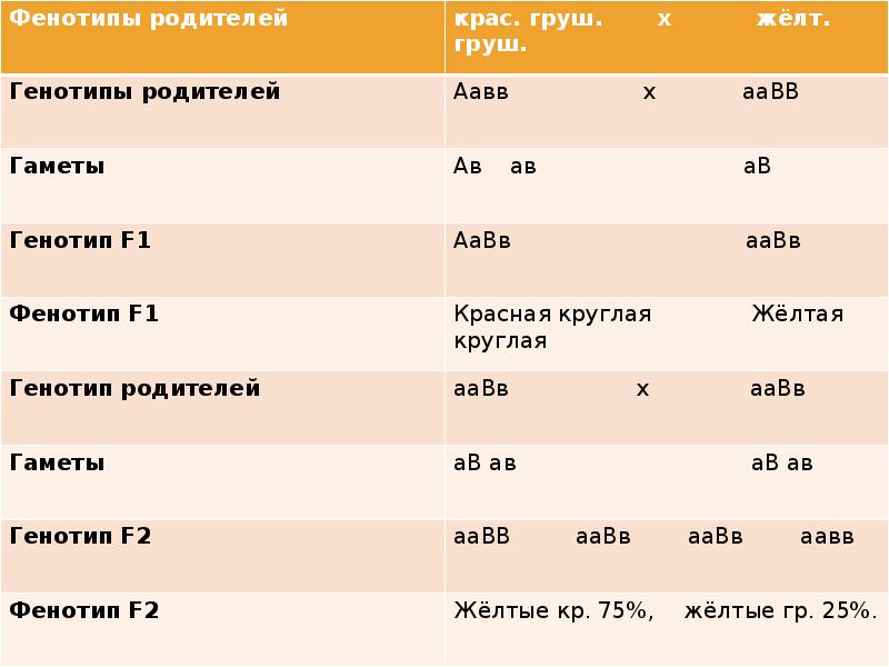 Фенотип сколько видов. Генотипы родителей. Генотип и фенотип примеры. Генотип и фенотип определение. Фенотип примеры человека.