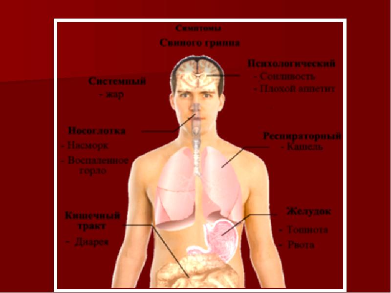 Презентация грипп h1n1