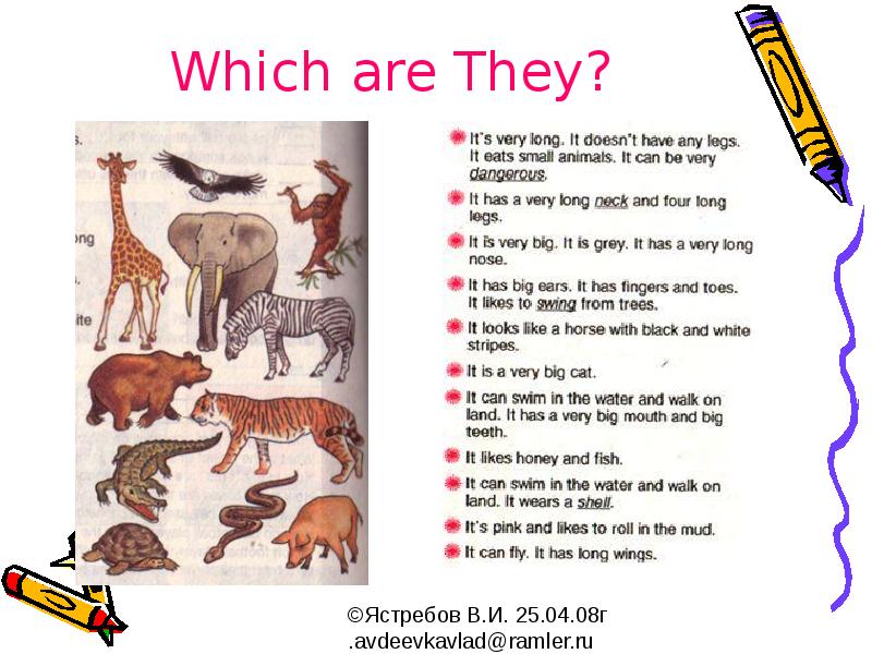 Do they like animals. Animals 2 класс. Текст про животных на английском. Животные на английском языке 2 класс. Английский текст про животные.