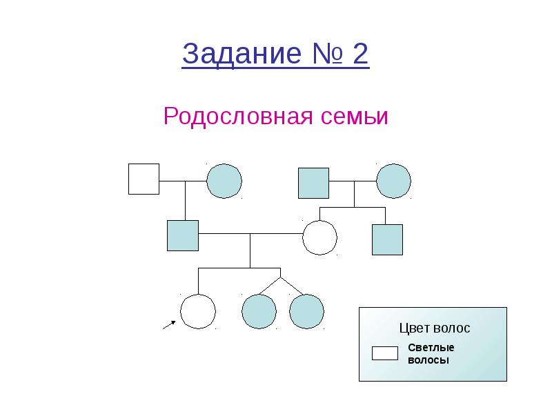 Родословная семьи схема по биологии