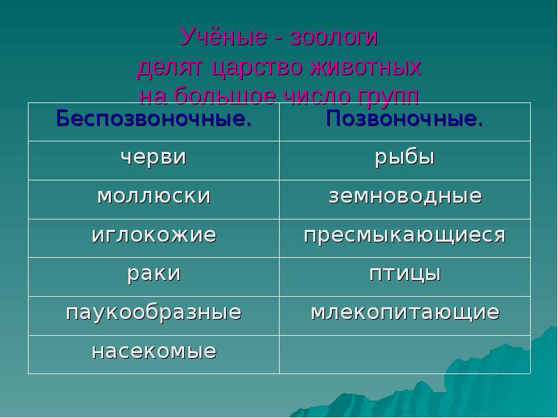 Проект царство животных 6 класс