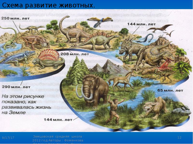 Презентация на тему основные этапы развития животного мира на земле