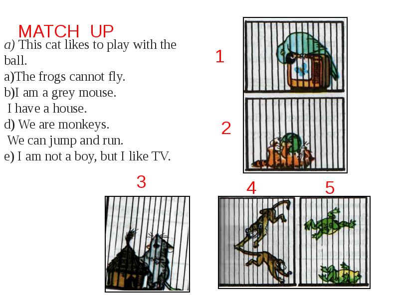 I am like a cat. проект my favourite animal. I am a cat my name is hat. кошка с надписью. Put the cat among the pigeons идиома.