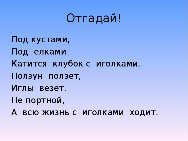 Угадывать под. Не портной а всю жизнь с иголками ходит. Под кустами,под иголками катится клубок с иголками. Не портной а всю жизнь с иголками ходит ответ на загадку. He пopthoй, a bсю жи3hь c иглaми xoдиt.