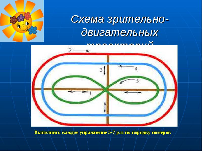 Плакат схема зрительно двигательных траекторий