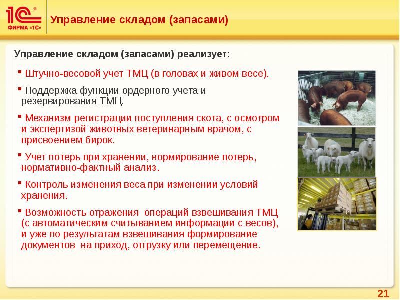 1с erp мясокомбинат презентация