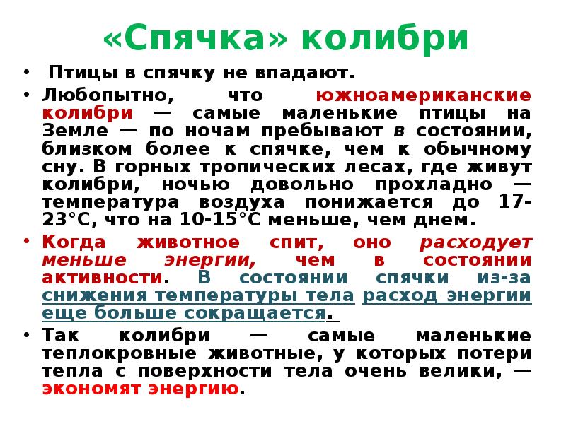 Ближайшее состояние. Колибри в спячке. Спячка Колибри значение в экологии.