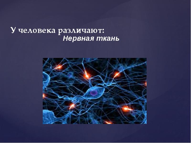 Перемещение клеток. Путешествие в мир клетки. Путешествие в мир клеток доклад. Презентация мир клеток. Проект путешествие в мир клетки.