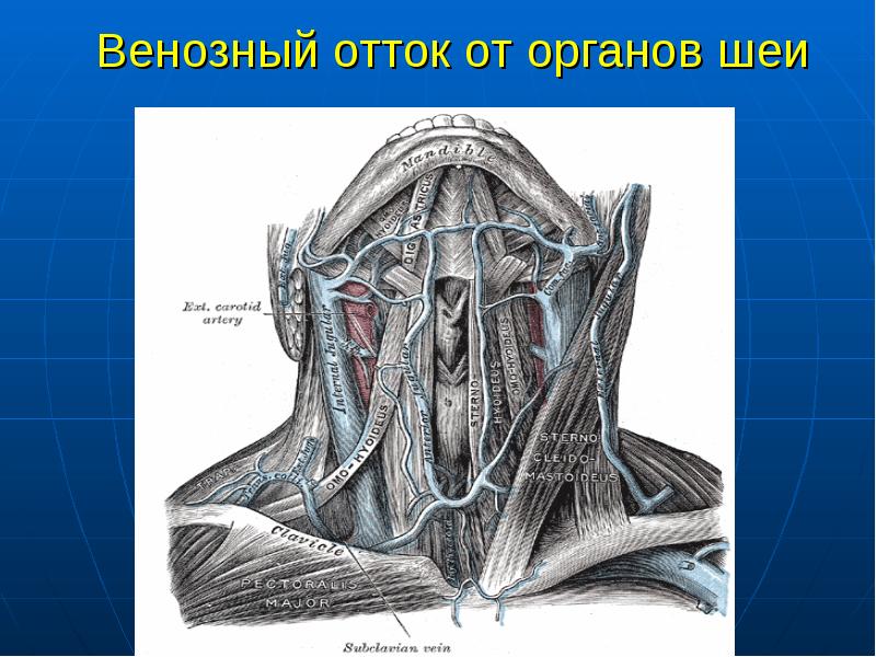 Нарушение венозного оттока шеи