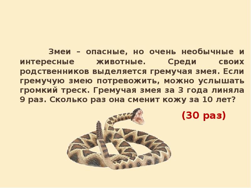 Сочинение змея 5 класс