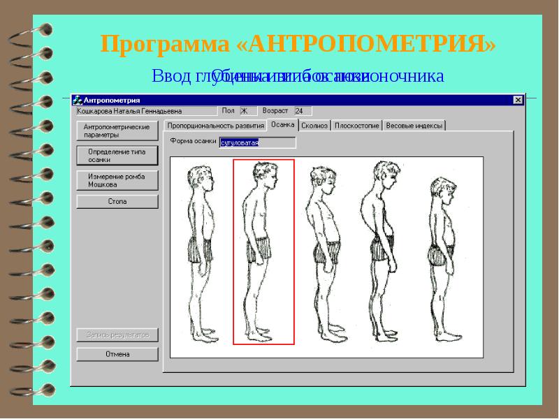 Антропометрия. Антропометрический Тип. Антропометрия включает измерение. Программы антропометрии.