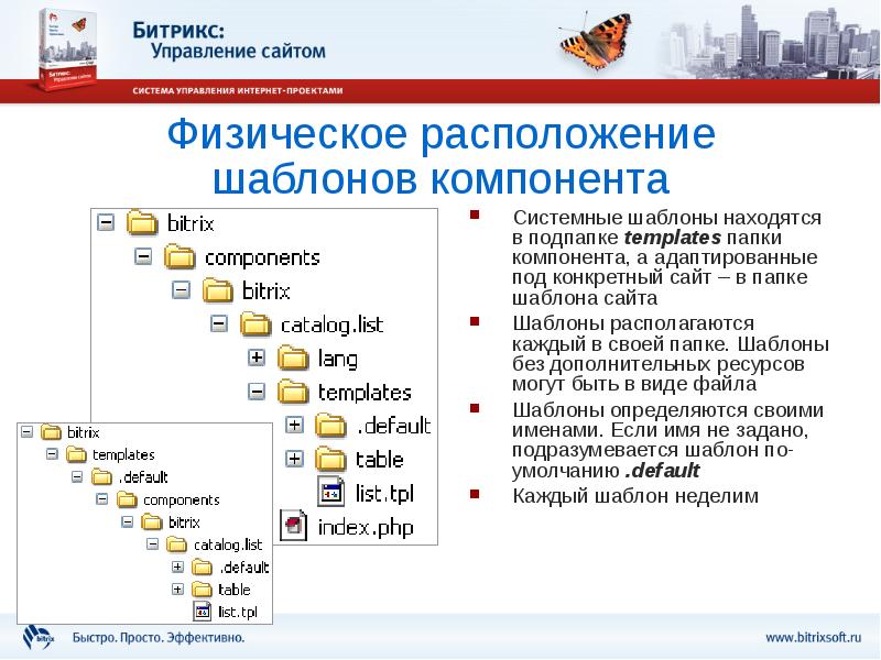 Компоненты файла. Физическое расположение это. Компоненты 2.0. Структура папок и подпапок плюсы и минусы. Шаблон элементов каталога вида 