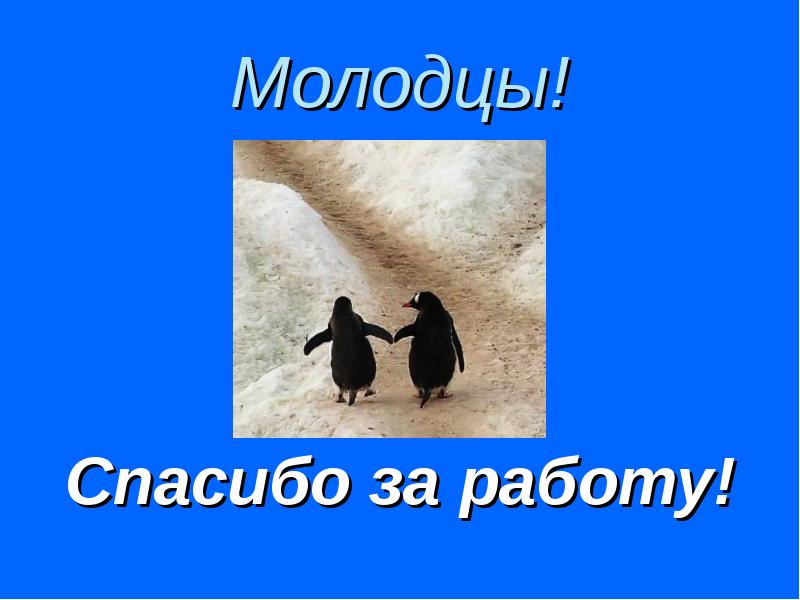 Молодцы! Молодцы!