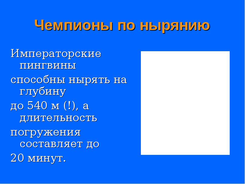 Чемпионы по нырянию
Императорские пингвины
способны нырять на глубину
Чемпионы по нырянию
Императорские пингвины
способны нырять на глубину