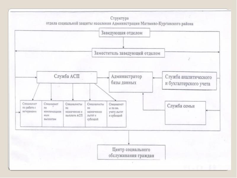 Социальные подразделения. Организационная структура соцзащиты. Структура центра социальной защиты населения. Структура отдела соцзащиты населения. Структура учреждения ОСЗН.