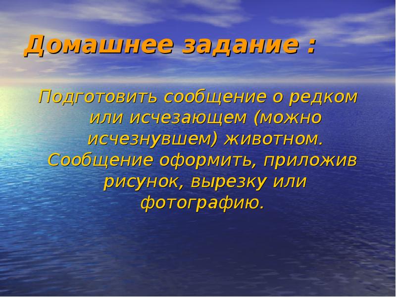 Условия сообщения. Подготовить сообщение. Информация о животном подалурине.