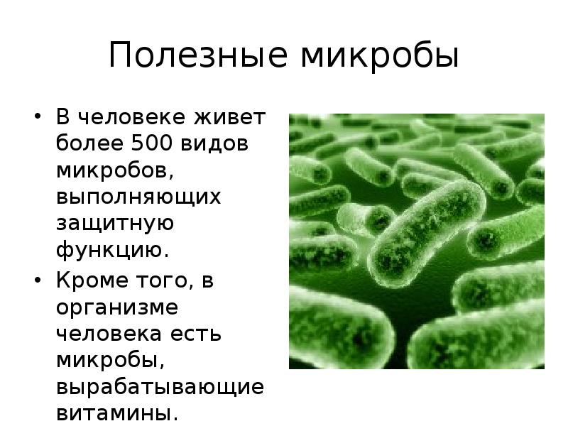 Бактерии какие опасные. Сообщение о полезных бактериях. Полезные бактерии. Какие бактерии полезны человеку. Полезные микроорганизмы.