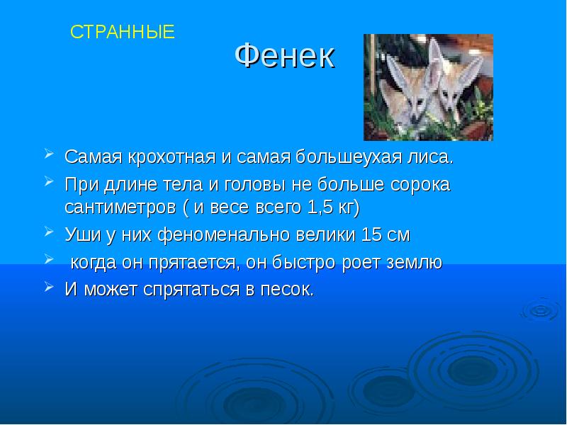 Проект невиданные животные для 3 класса