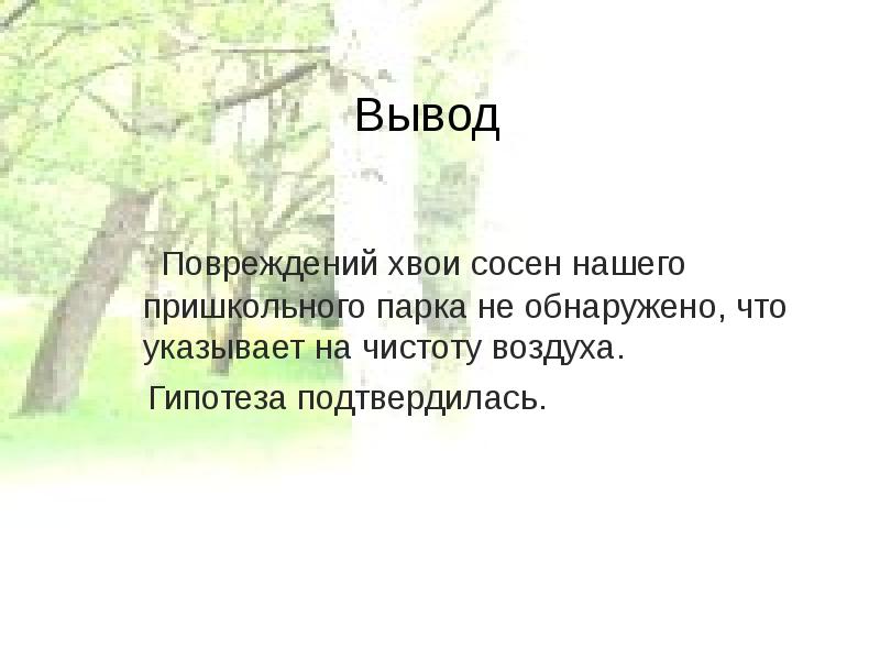 Сосна вывод. Вывод сосны. Сделай вывод о чистоте воздуха в нашей местности. Вывод о чистоте воздуха в Одинцовской области.