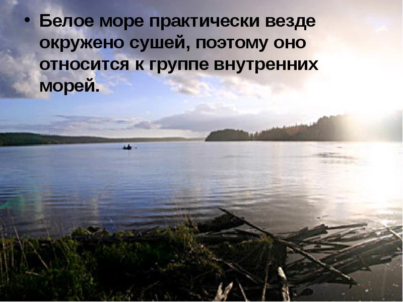 Проект белое море