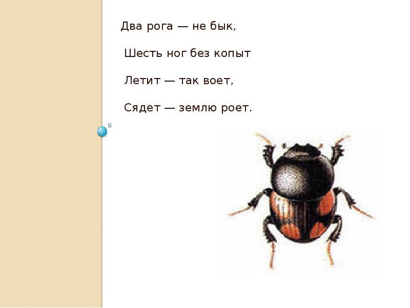 Загадка без ног. Два рога а не бык шесть ног без копыт. 2 Рога а не бык 6 ног без копыт. Есть рога а не бык загадка. Загадка есть рога а не бык шесть ног.