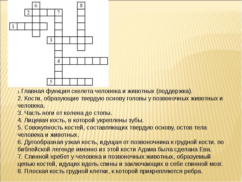 Кроссворд на тему система. Кроссворд на тему скелет. Кроссворд на тему скелет человека. Главная функция скелета человека и животных поддержка. Кроссворд по анатомии человека.