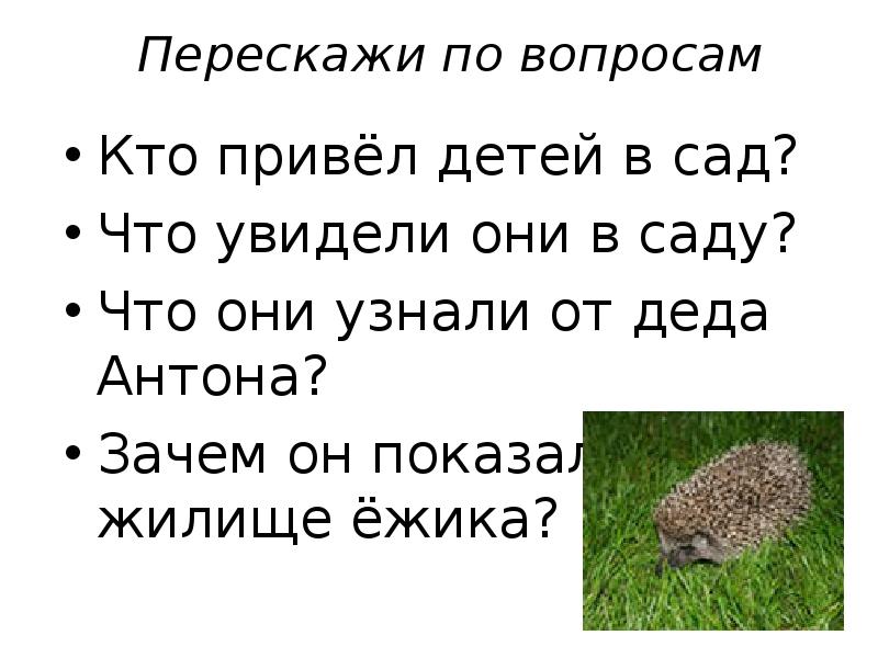 Изложение 2 класс презентация. 2 Класс изложение по вопросам Ежик. Спасибо бобру 2 класс изложение. Дед показывает детям жилище ежика. Изложение бобры 2 класс.