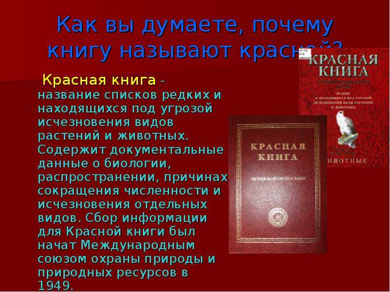 Сообщение про красную. Красная книга Кавказа. Азербайджанская красная книга. Красная книга Азербайджана книга. Почему красная книга называется красной.